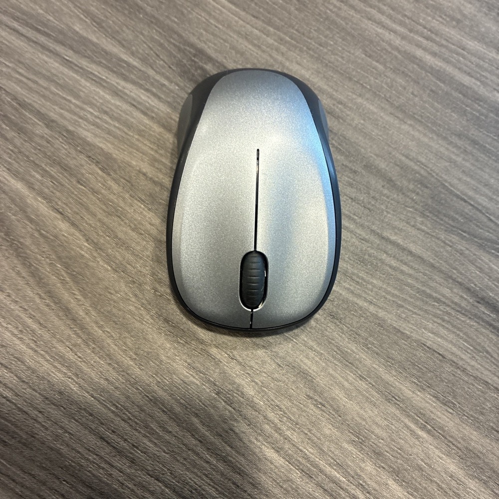 Logitech M317 Wireless Mouse 1K DPI Optical Tracking USB Receiver Light Steel